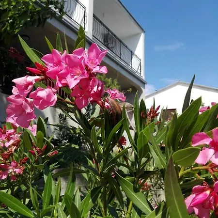 Adria 2 Apartment